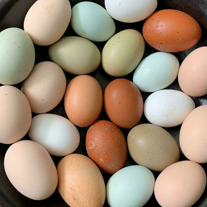 Farm Fresh Eggs