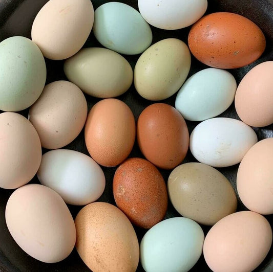 Farm Fresh Eggs